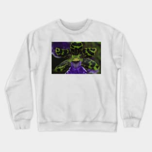 Zygopetalum Orchid Macro Crewneck Sweatshirt